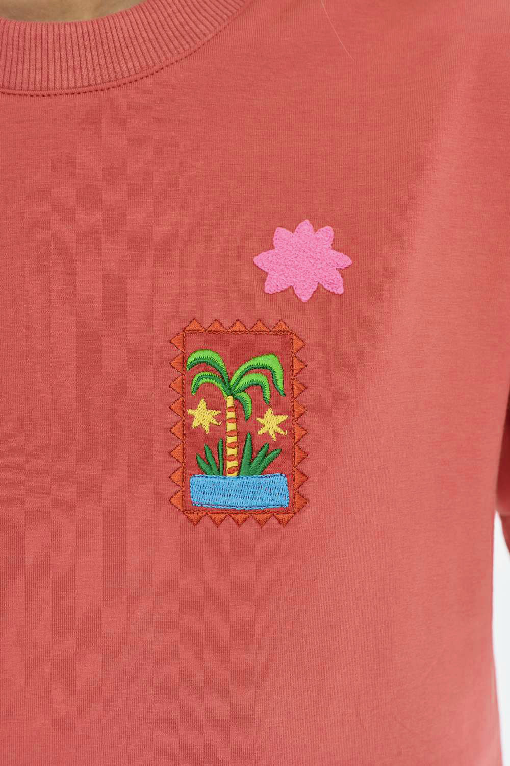 T-shirt Desert Diary